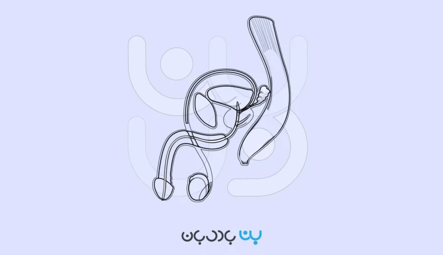 تفسیر آزمایش پروستات؛ خواندن نتایج تست PSA
