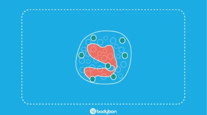 آزمایش ائوزینوفیل چیست؟ Eosinophils در آزمایش خون